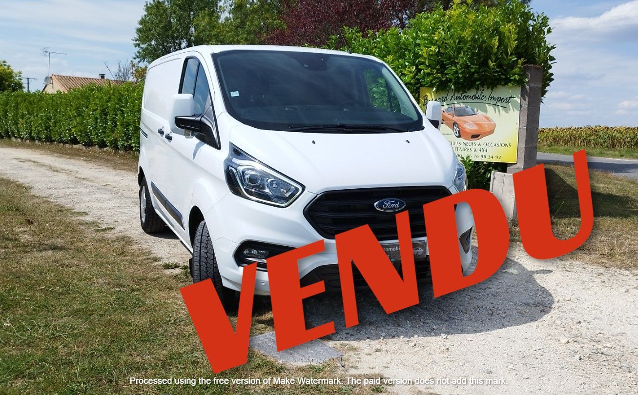 ford transit
