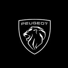 Garage PEUGEOT - Laurent Martin à Jarnac